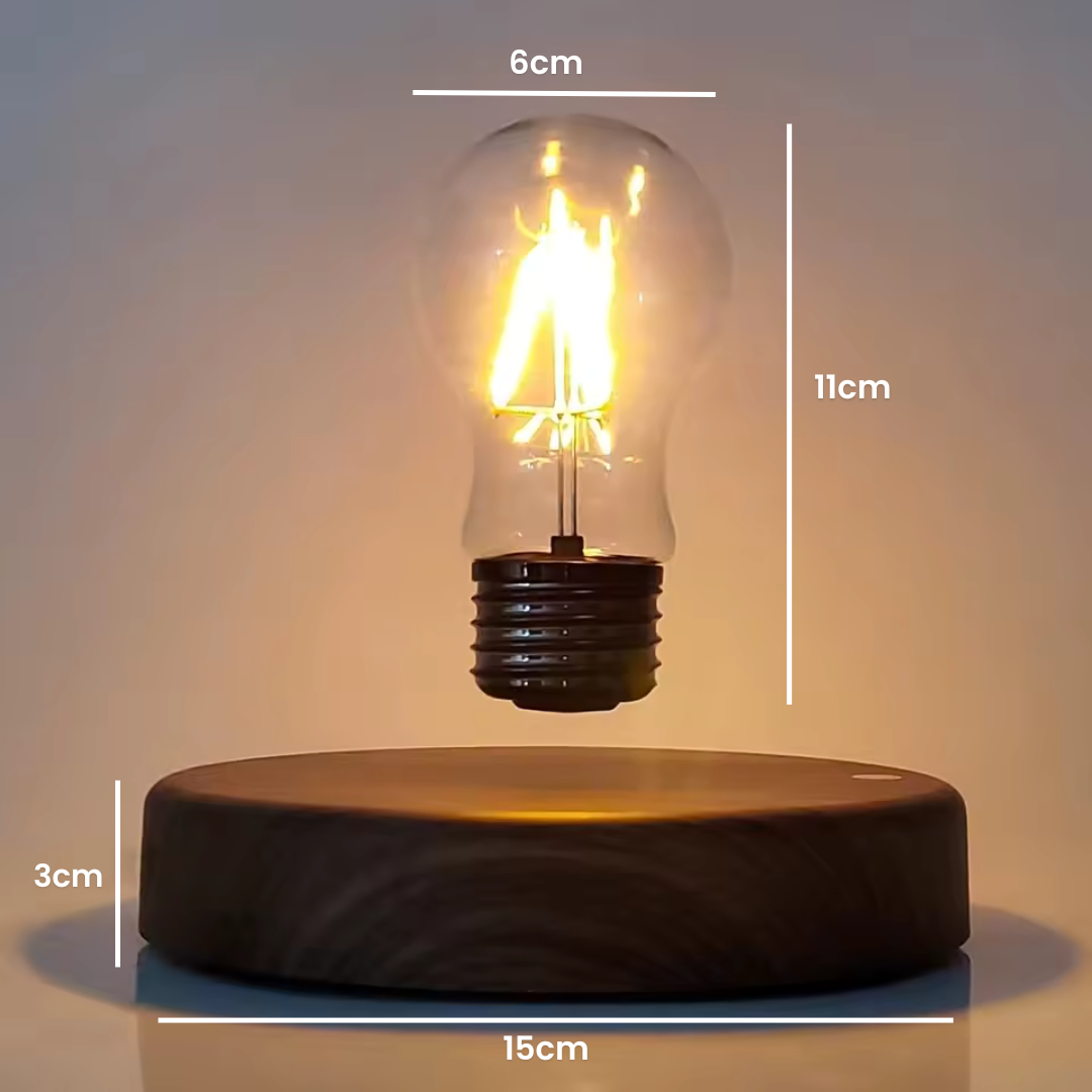 Floating Bulb Lamp