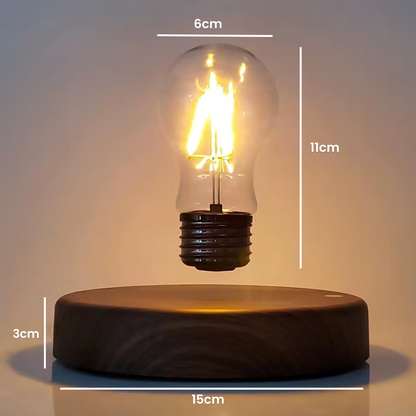 Floating Bulb Lamp